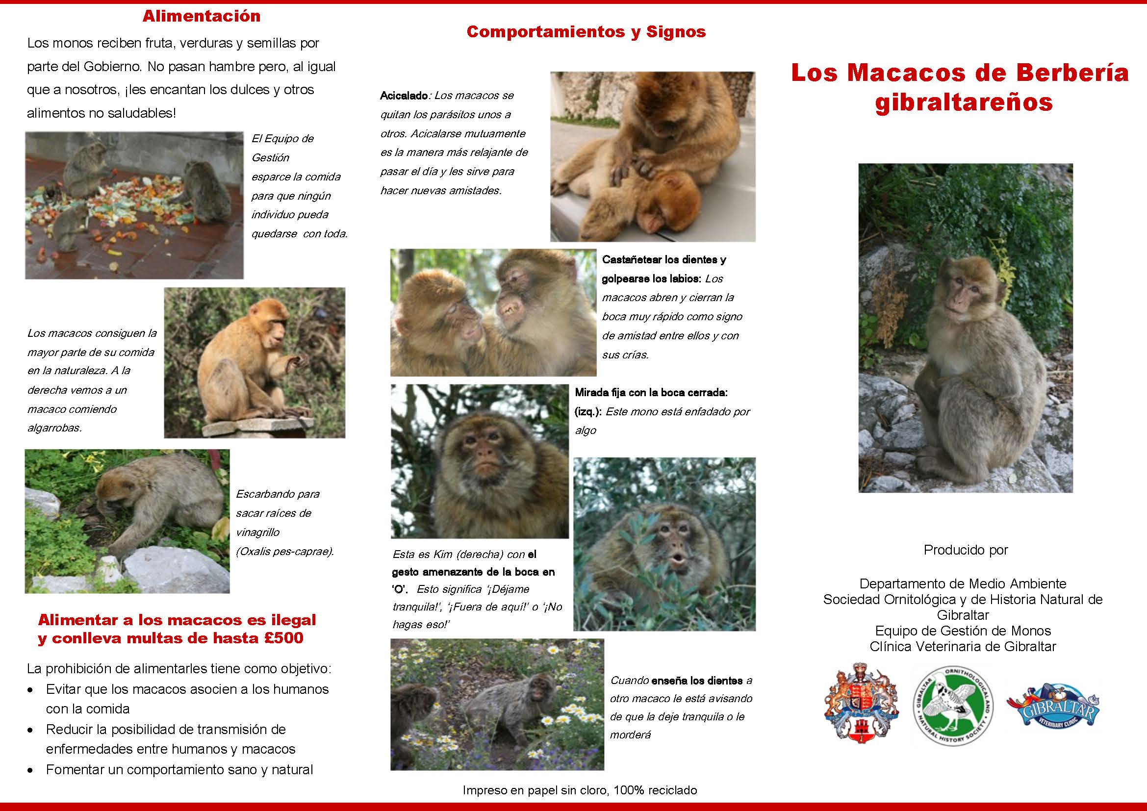 Macaque leaflet ES_Page_1.jpg